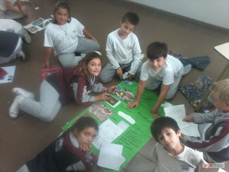 4º PB (1)