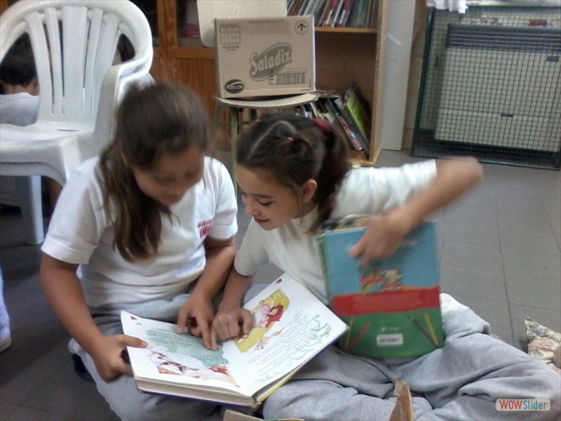 Biblioteca (1)