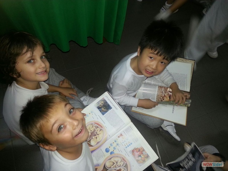 Biblioteca (2)