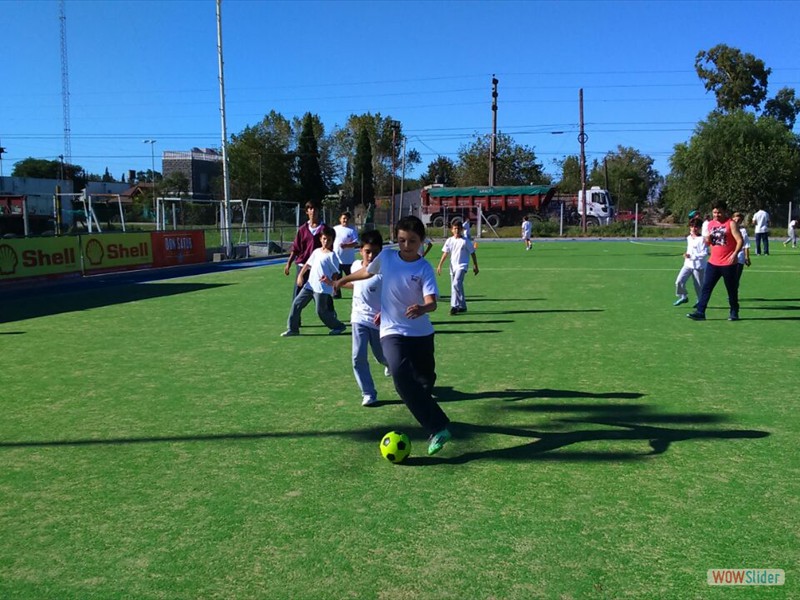 Deportes (12)