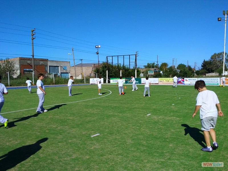 Deportes (15)